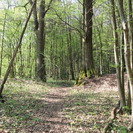 Größeres Bild ansehen