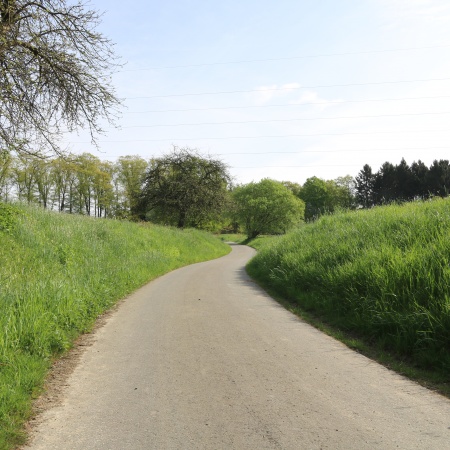 Größeres Bild ansehen