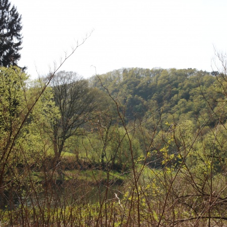 Größeres Bild ansehen